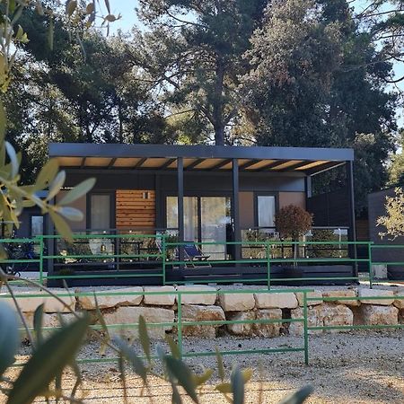 Luxury Mobile Homes Ivaci Rovinj Ngoại thất bức ảnh